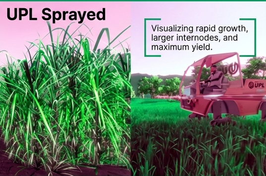 Agriculture XR visualization showing crop growth simulation