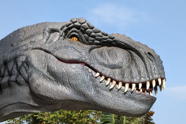 Dino Park — Thematic Media India